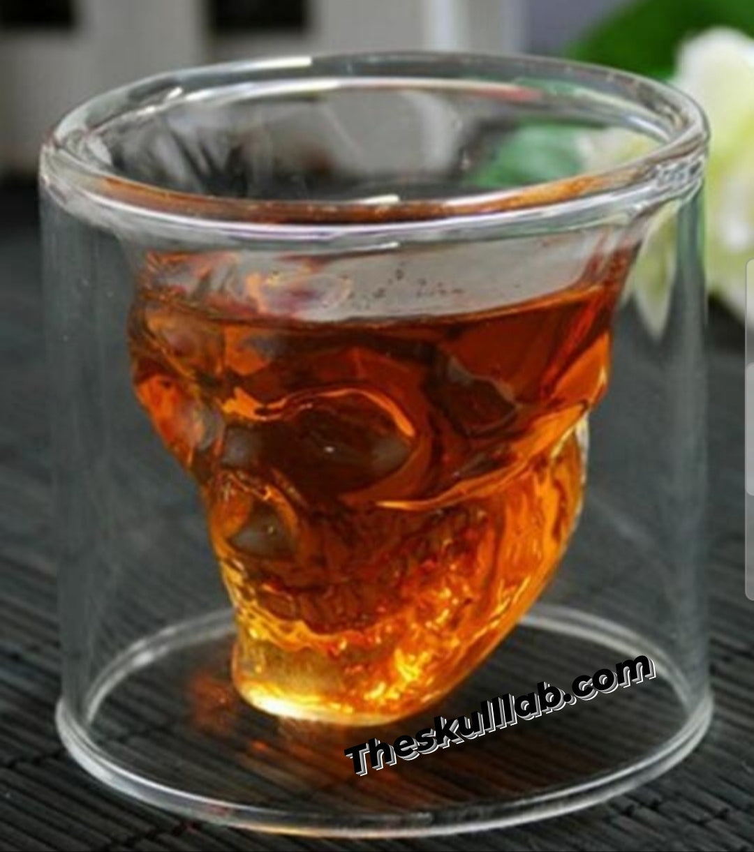 Skull Shot Transparent Glass Decor