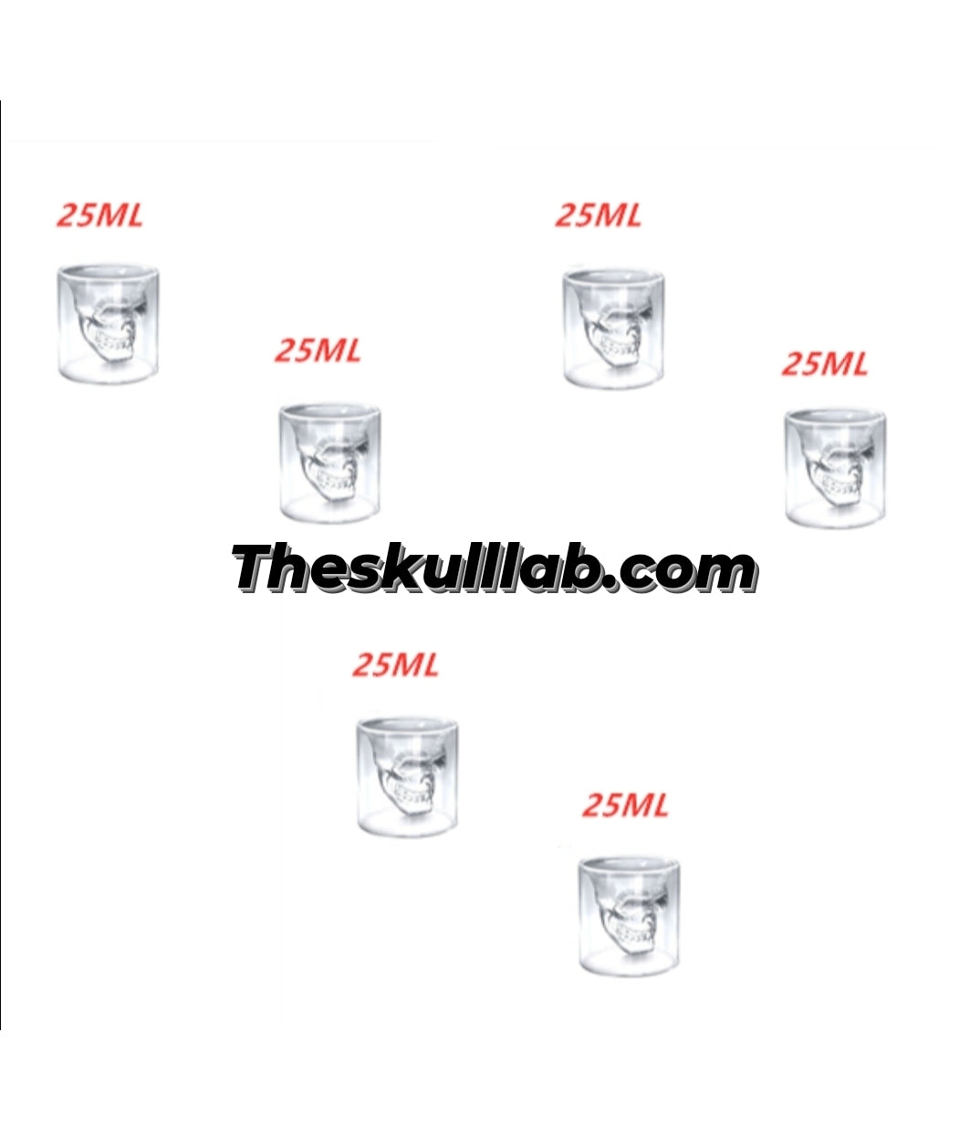Skull Shot Transparent Glass Decor