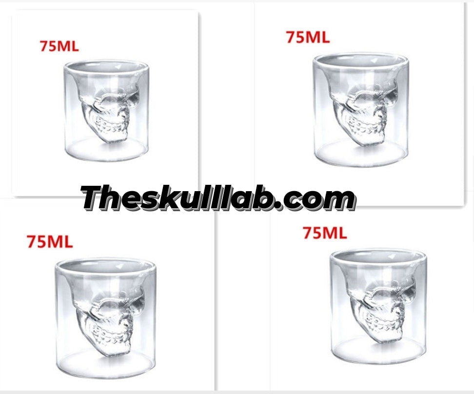 Skull Shot Transparent Glass Decor