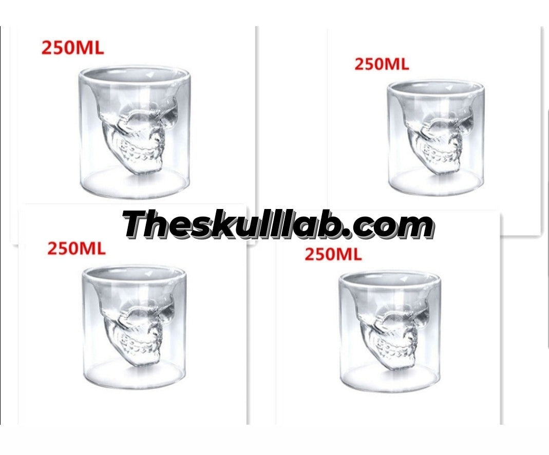 Skull Shot Transparent Glass Decor