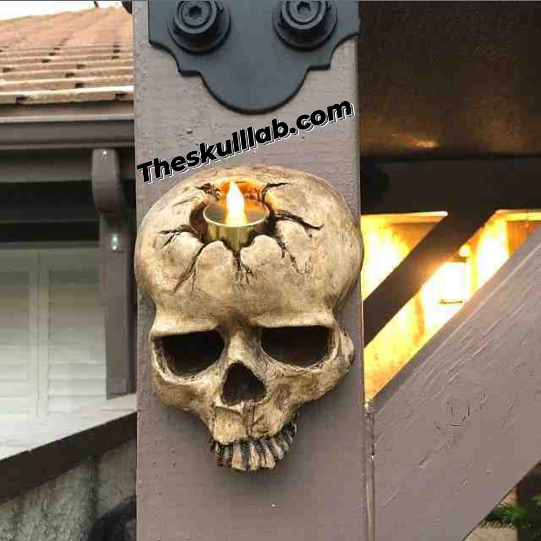Wall Decor, Skull Scones & Candle Holder