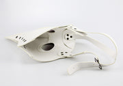 European And American Plague Doctor Mask