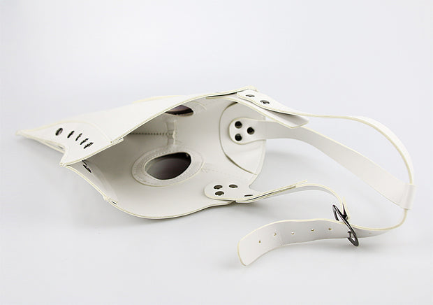 European And American Plague Doctor Mask