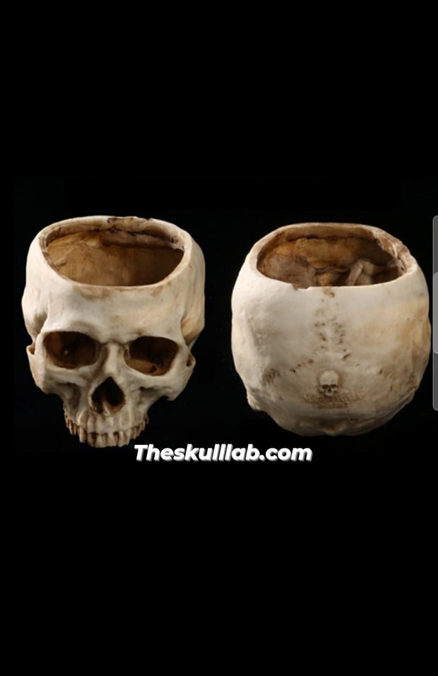 Resin Skull Flower Pot or Ashtray *2 Colors