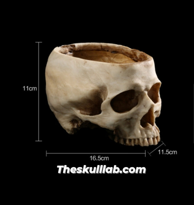 Resin Skull Flower Pot or Ashtray *2 Colors