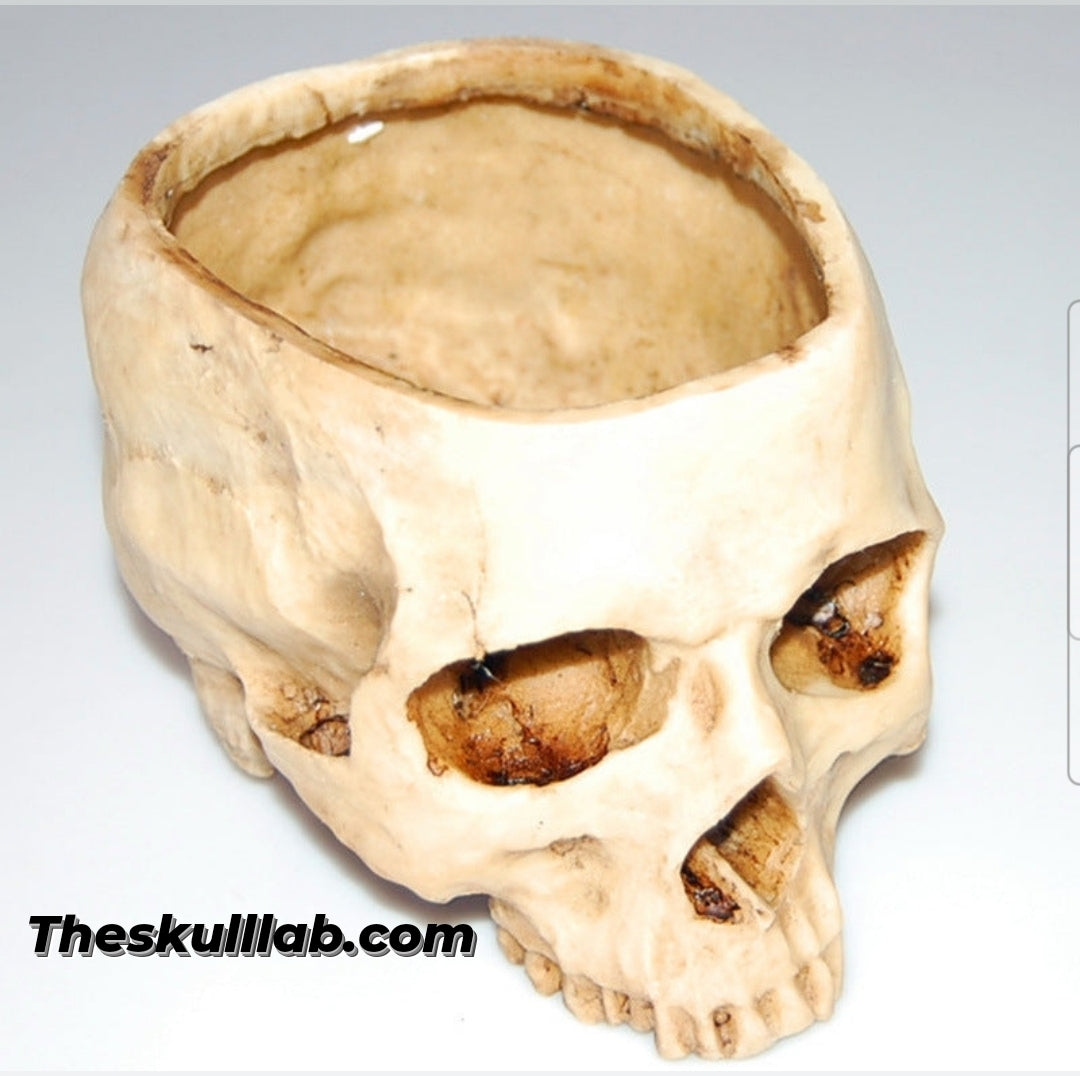 Resin Skull Flower Pot or Ashtray *2 Colors