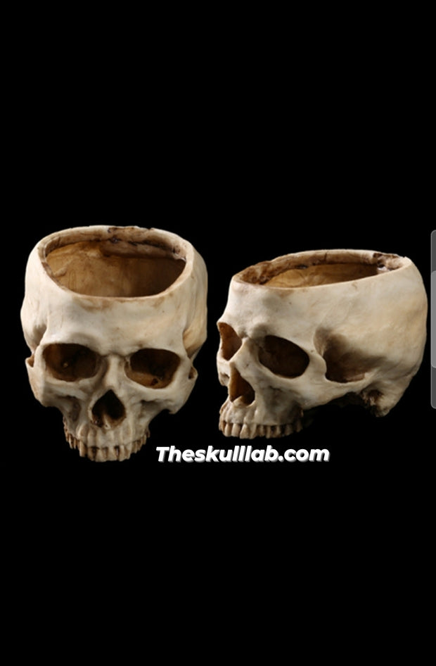 Resin Skull Flower Pot or Ashtray *2 Colors