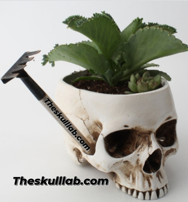Resin Skull Flower Pot or Ashtray *2 Colors