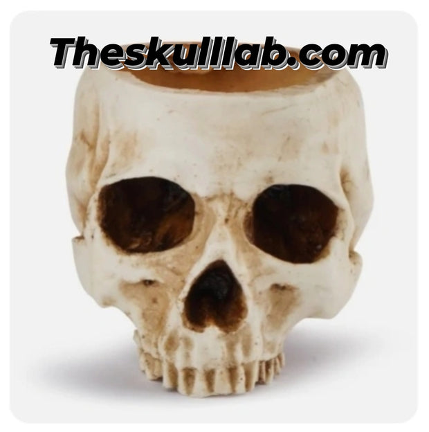 Resin Skull Flower Pot or Ashtray *2 Colors