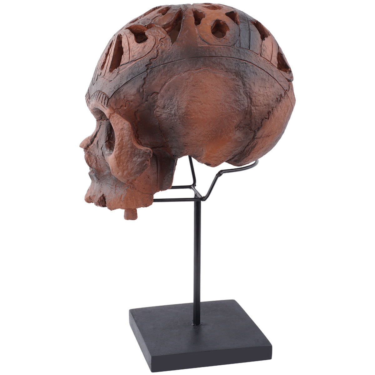 Hot Sell Resin Skull Human Model Ornament