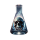 The Skull Lab 