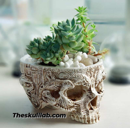 Potted Planting with Skull Head