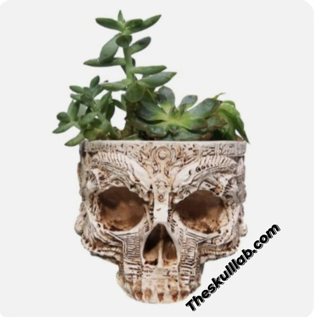 Potted Planting with Skull Head