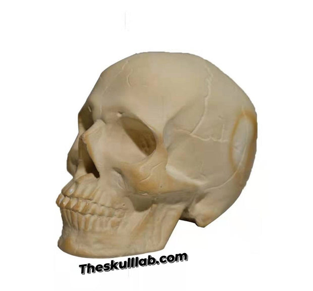 Skull Firepit Ornament/Decor