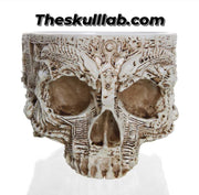 Potted Planting with Skull Head