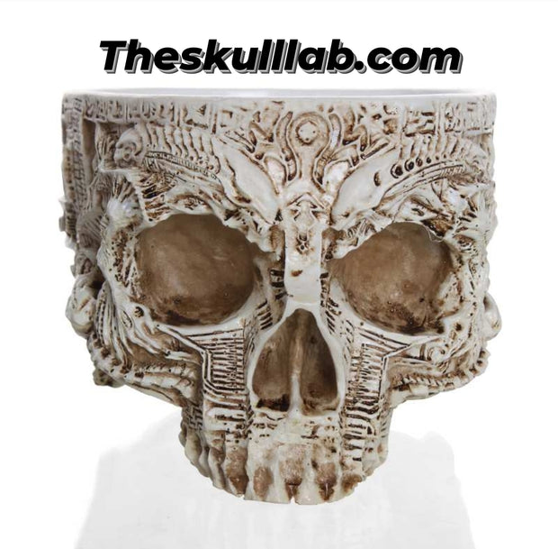 Potted Planting with Skull Head