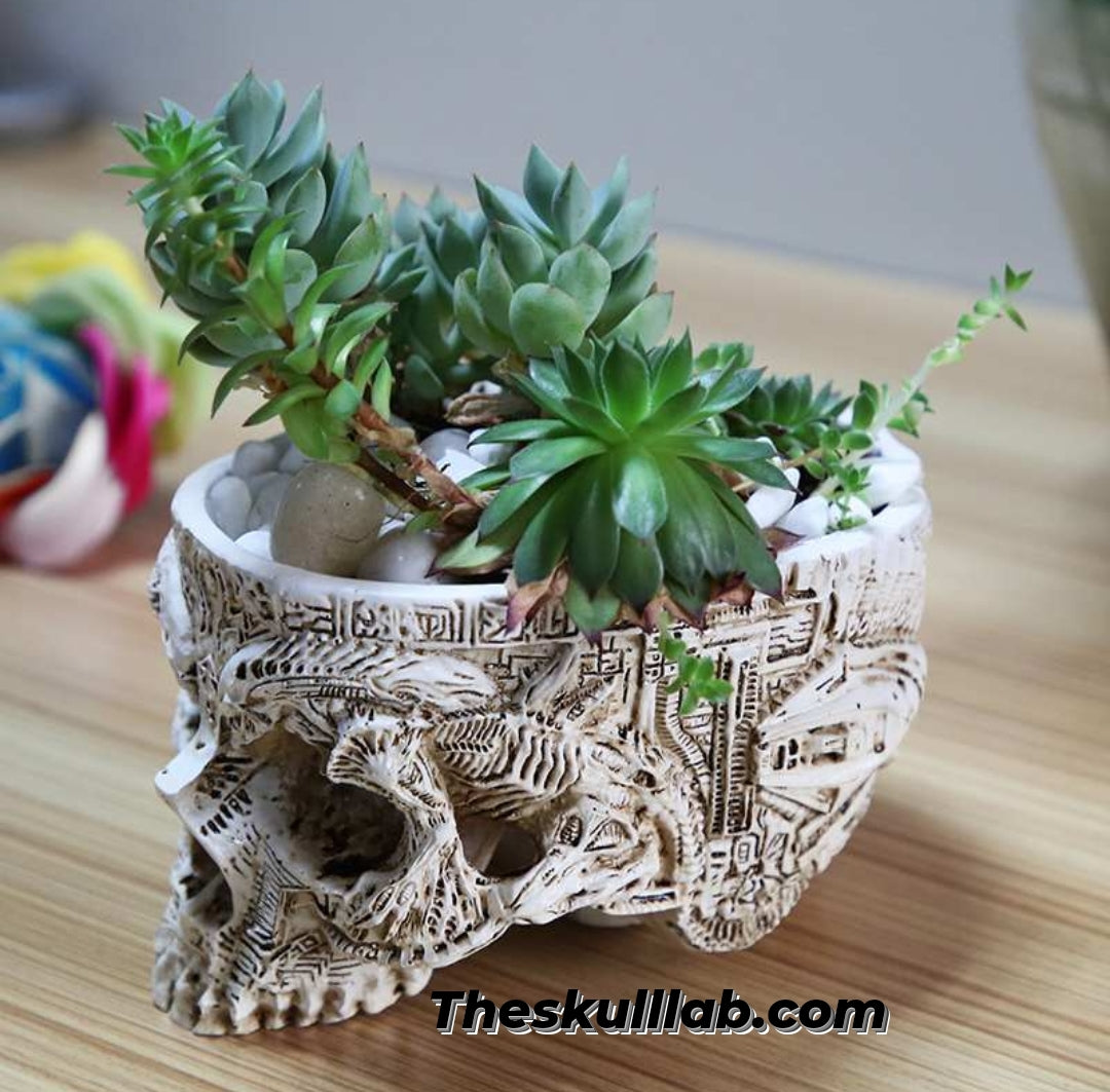 Potted Planting with Skull Head